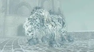 Аава, питомец короля без АДП [Dark Souls II SotFS]