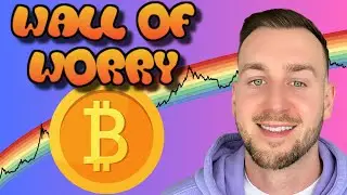 BITCOIN WALL OF WORRY & ALTCOIN NEWS