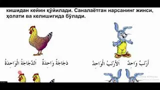 19 dars  Son qoidasi | O'qish kitobi
