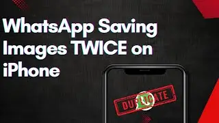 [FIXED] WhatsApp Saving Photos TWICE on iPhone