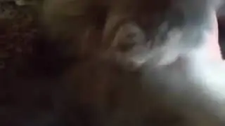 Соня