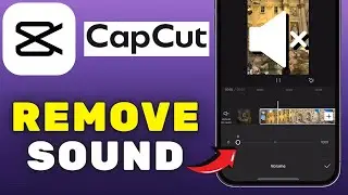 How To Remove Sound From A Video In CapCut (2025)