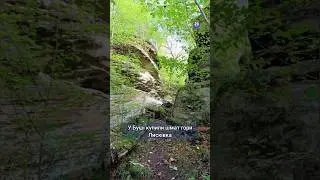 СКАНДАЛ у Буші: на аукціоні купили шмат гори