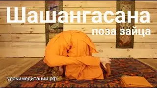 АСАНА №21. ШАШАНГАСАНА (ПОЗА ЗАЙЦА). Йога асаны