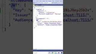 Minimal API | appsettings.json dosyasını okuma 