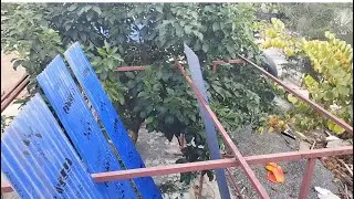 Install Metal Roofing | zinc Metal Roofing