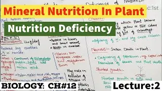 Mineral Nutrition In Plants |Macronutrients and Micronutrients In plants | Deficiency of Nutrients