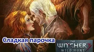 Ведьмак 3 : Перед битвой с Эридином, прощание Геральта с Трисс.