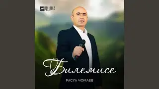 Ариулугъунг