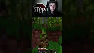 Amogus moment #views #minecraft #shorts