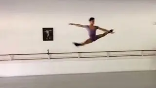 The Male Ballet Dancer (JORGE BARANI)