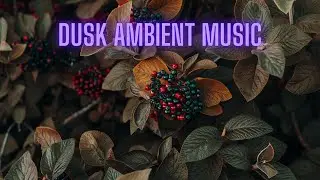 Dusk Ambient