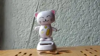 White pussy Dance