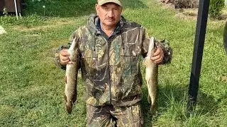Рыбалка на спиннинг на Оке. Часть 1. Щучий жор. Осенняя рыбалка, попали на раздачу.