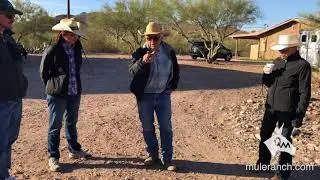 Basics of Every Mule: What Owners Need to Know