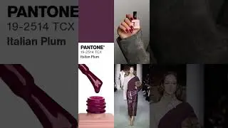 Pantone Color Trend Report for Autumn-Winter 2024/25