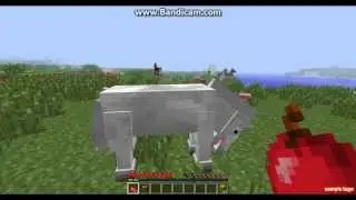 Minecraft 1.6.2 или как приручить лошадь [ForZe Company]