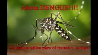 #Dengue Consejos utiles para el monte y la casa