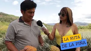 LA RUTA DE LA PIÑA