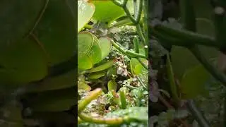 Fotografia na escola 