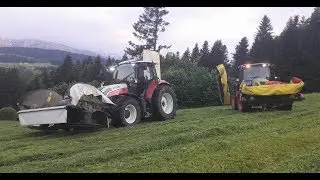 1. Schnitt Heuen Lindner/Steyr/Claas
