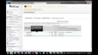 REDCap Data Dictionary - Quick Build-Out