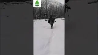 В Бурятии инспектор встретил рысь