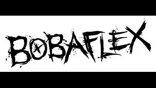 bobaflex @ ziggy's 3-14-14
