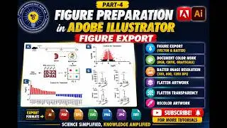 Figure preparation inAdobe Illustrator Part-4  Figure Export in Illustrator 