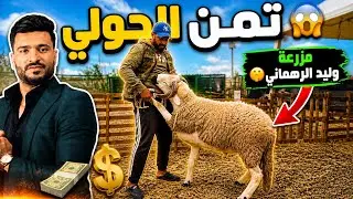 تمن الحولي رخيص 😍… عند وليد الرحماني 🤫