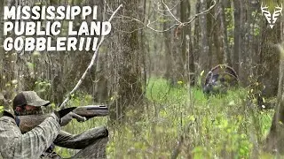 Turkey season starts with a BANG!!| HEAVILY pressured turkeys on Mississippi public land!