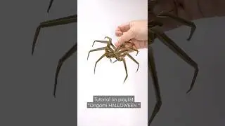 Paper spider tutorial 