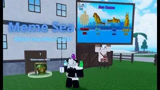 The Meme Sea Experience