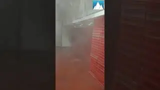Blast Freezer | Sea Food & Fish | Installed Refrigeration System | Blue Cold Refrigeration