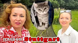 ДЕНЬ с ДОЧКОЙ / ОБЕД в РЕСТОРАНЕ / ОБОИ в ТУАЛЕТ
