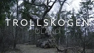 Trollskogen Öland