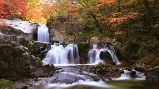 Paul Mauriat - Isadora