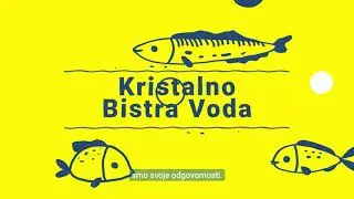 Kristalno bistra voda i sretne ribice 🐟✨