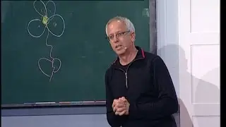 הכל הולך - יו"ר הבחירות על הרצפה העקומה