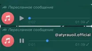 Апай мен 💩