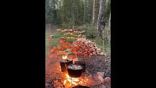 Тяжело быть новичком