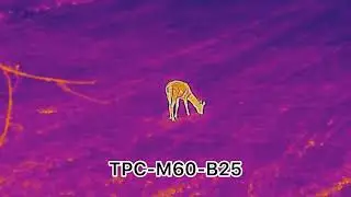 Dahua M60-B25