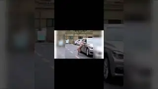 Собака проучила 