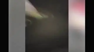 BLM reporter SHOOTS at four black men , calls them the 