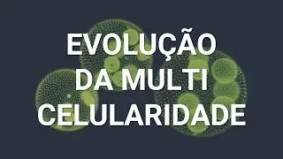 Evolução da Multicelularidade