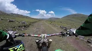 Comas - Llamas