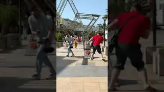 Злая собака в Сочи