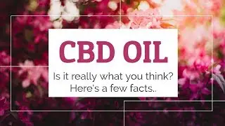 CBD Oil For Horses - 2 Minute Facts