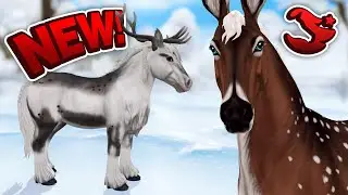 BEST NEW Winter Magic Horses EVER!!! - Star Stable Spoilers