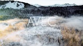 AVEC - 